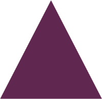 Purple triangle representing principle 4